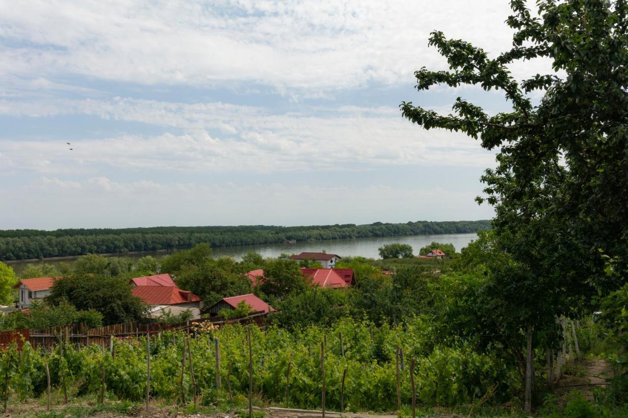 Casa Lac De Verde Băltenii de Sus Dış mekan fotoğraf