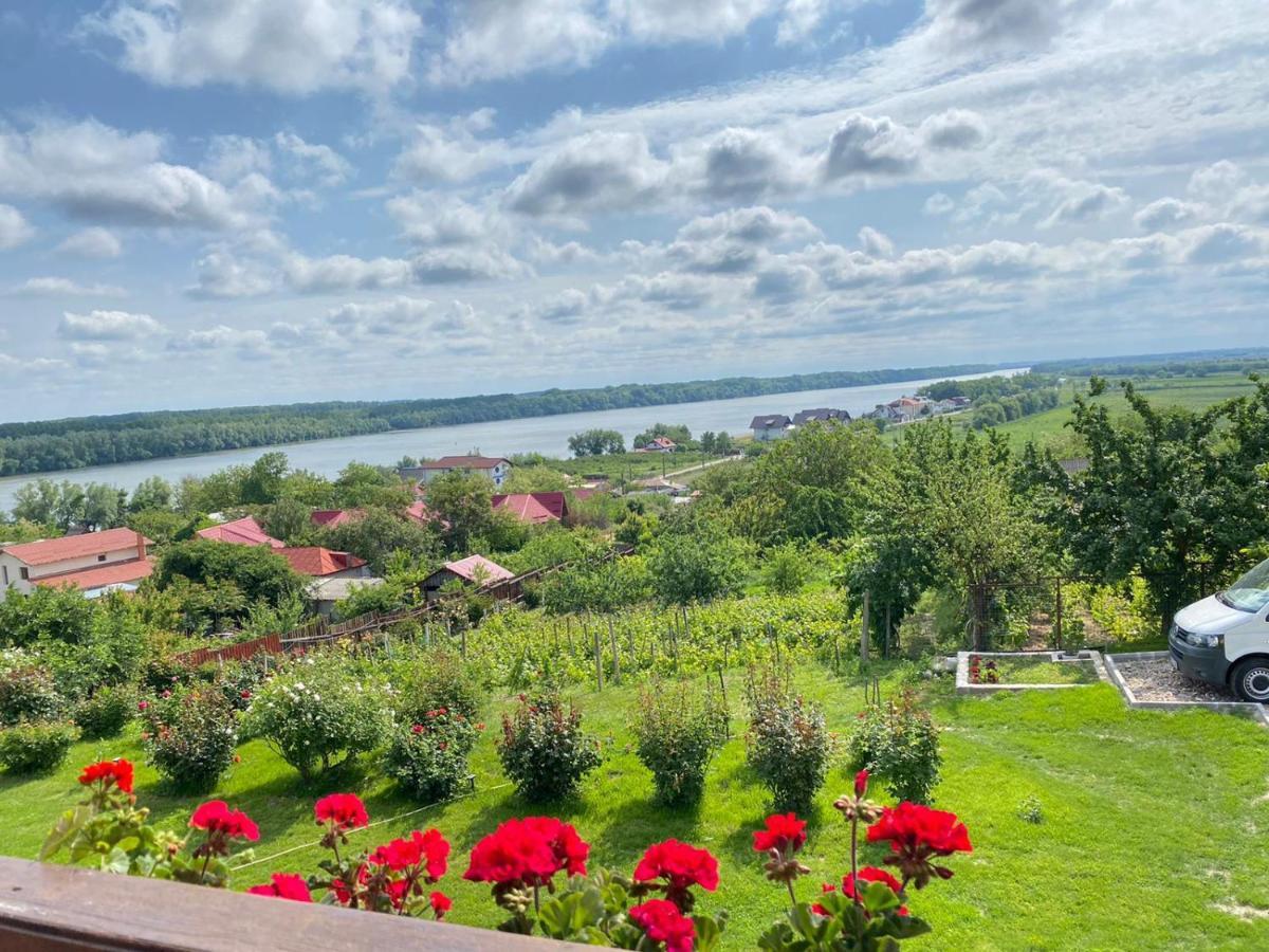 Casa Lac De Verde Băltenii de Sus Dış mekan fotoğraf