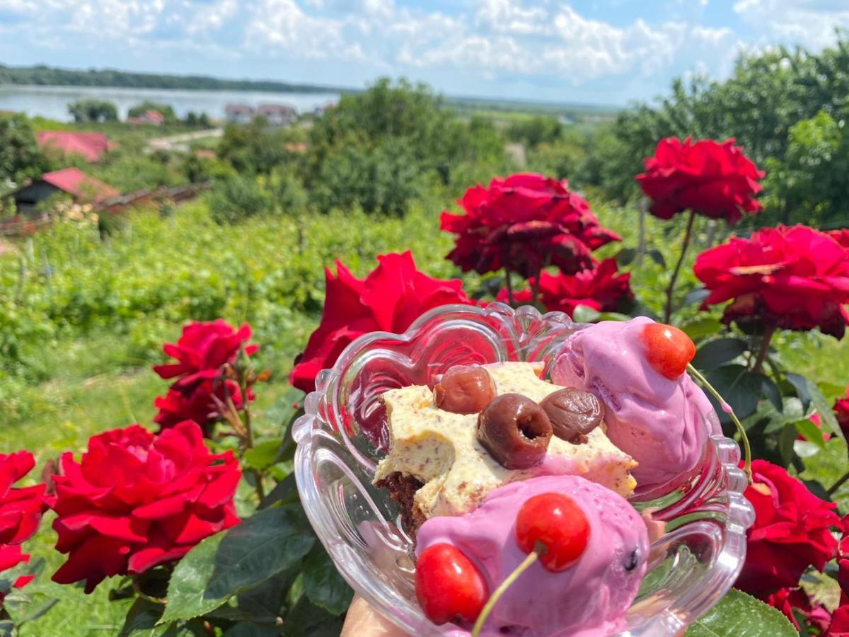 Casa Lac De Verde Băltenii de Sus Dış mekan fotoğraf